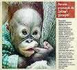 8mart2001